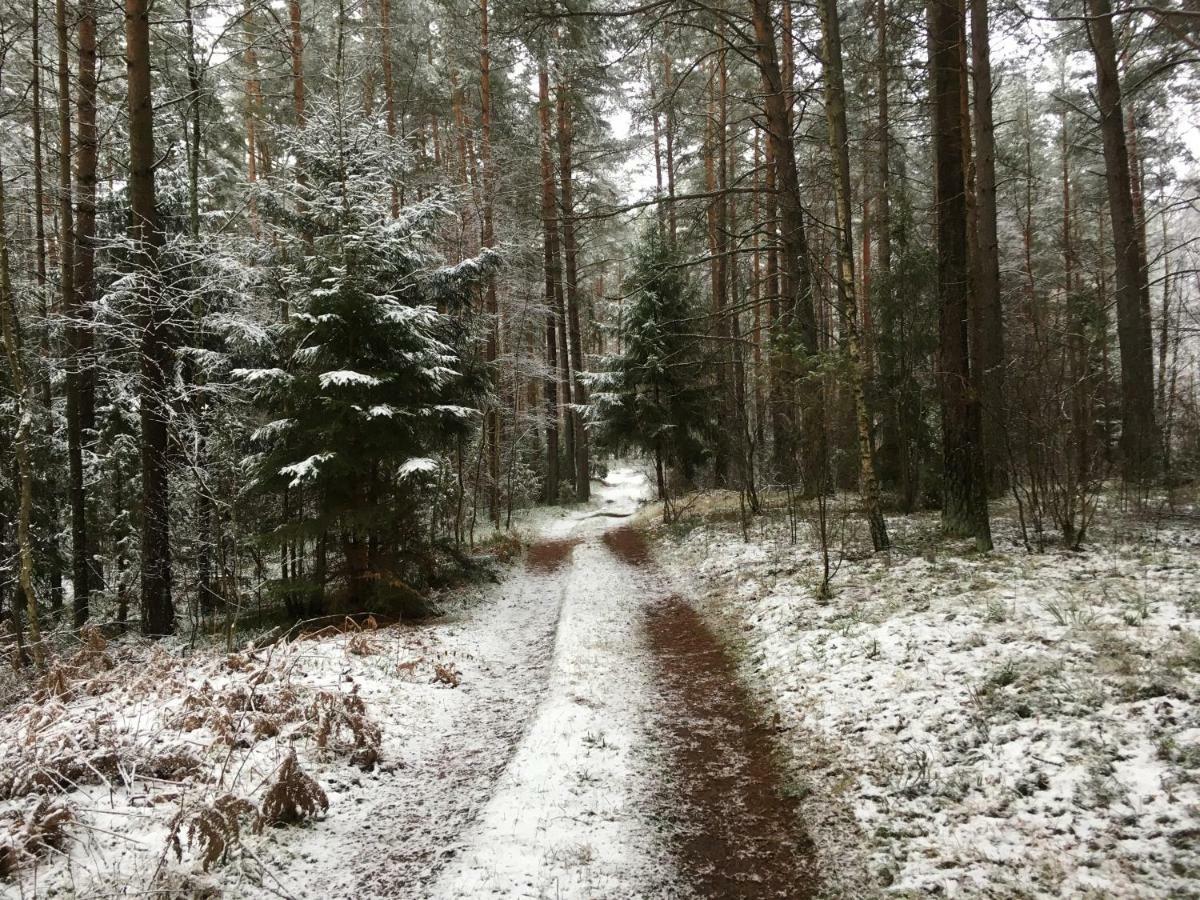 Vila Migla Paseksciai Bagian luar foto