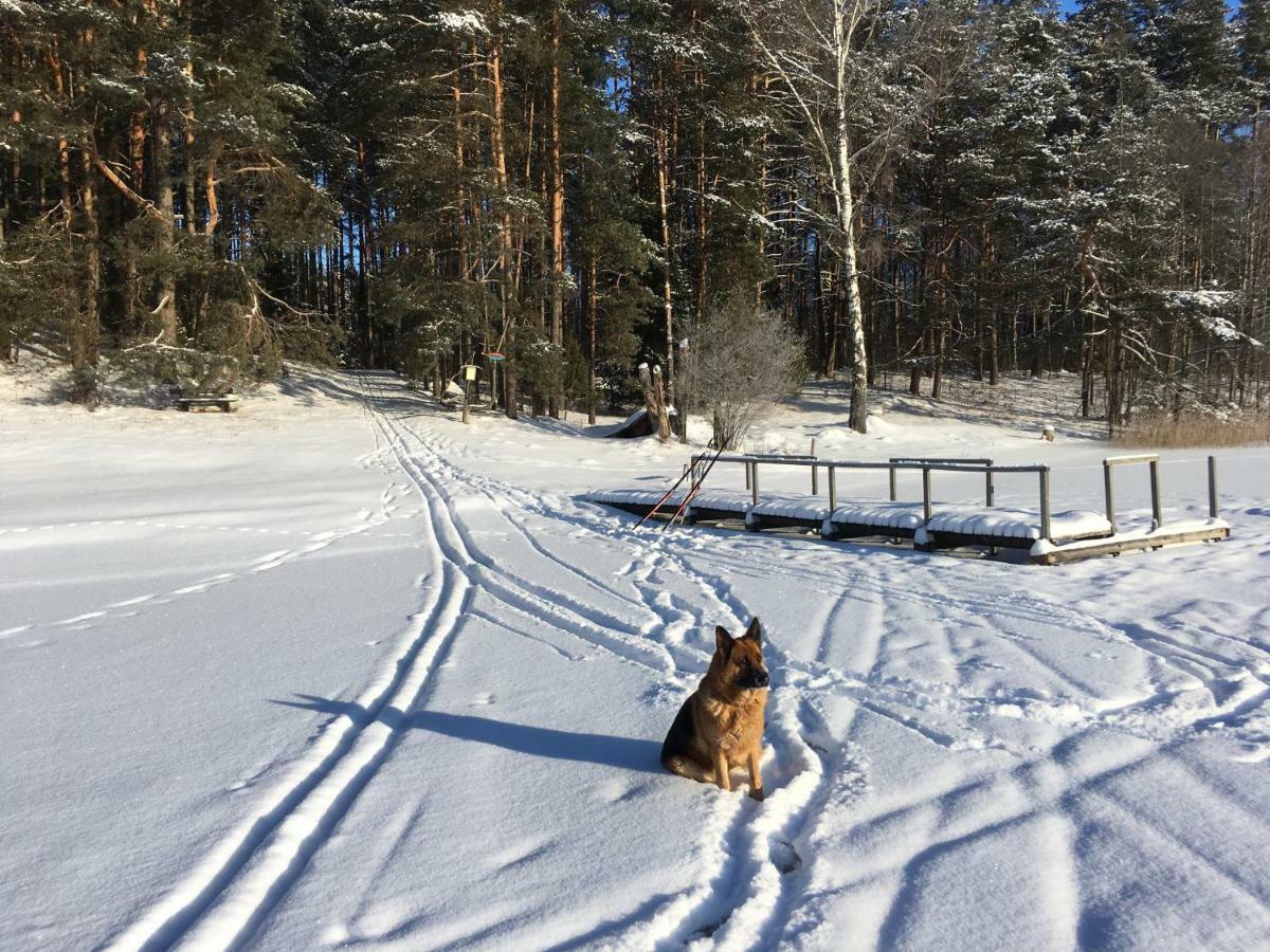 Vila Migla Paseksciai Bagian luar foto