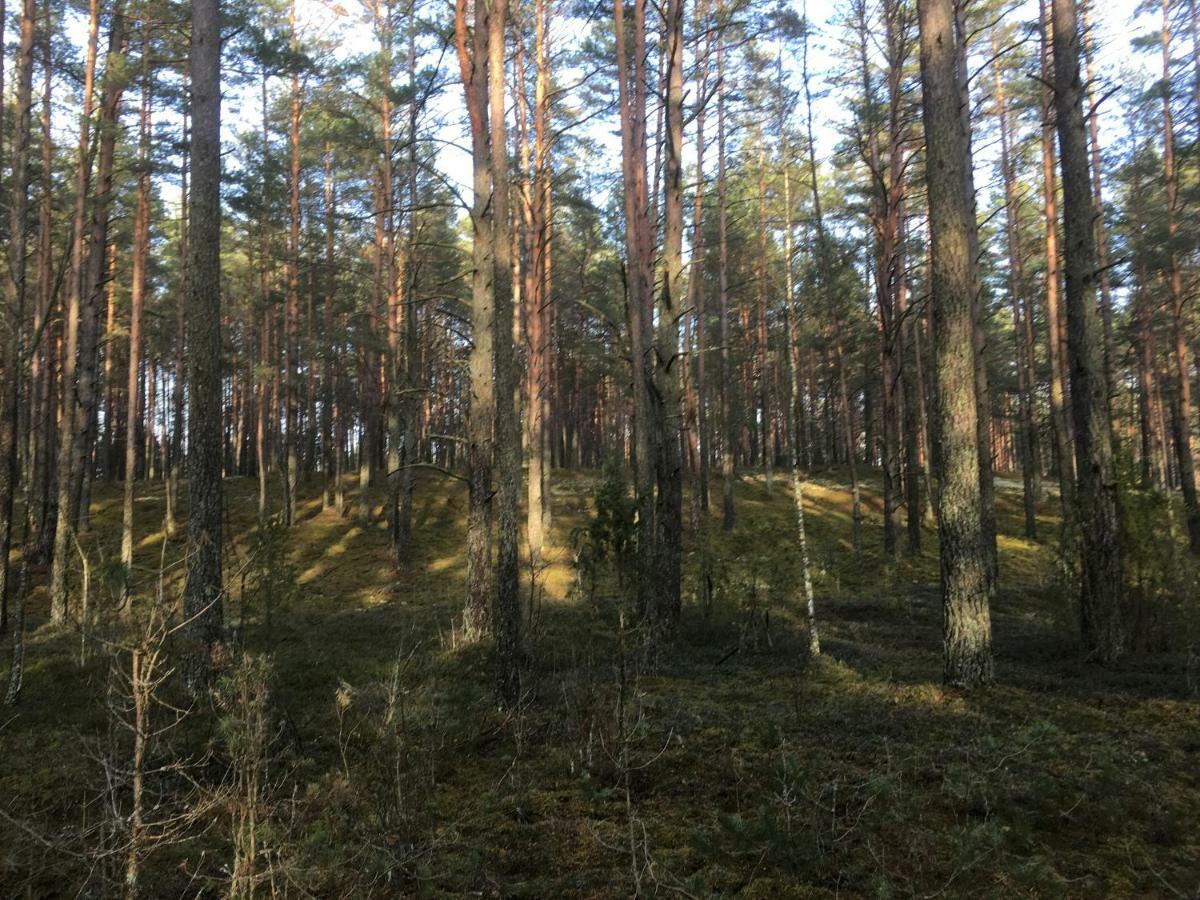 Vila Migla Paseksciai Bagian luar foto