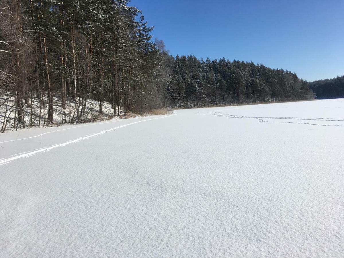 Vila Migla Paseksciai Bagian luar foto