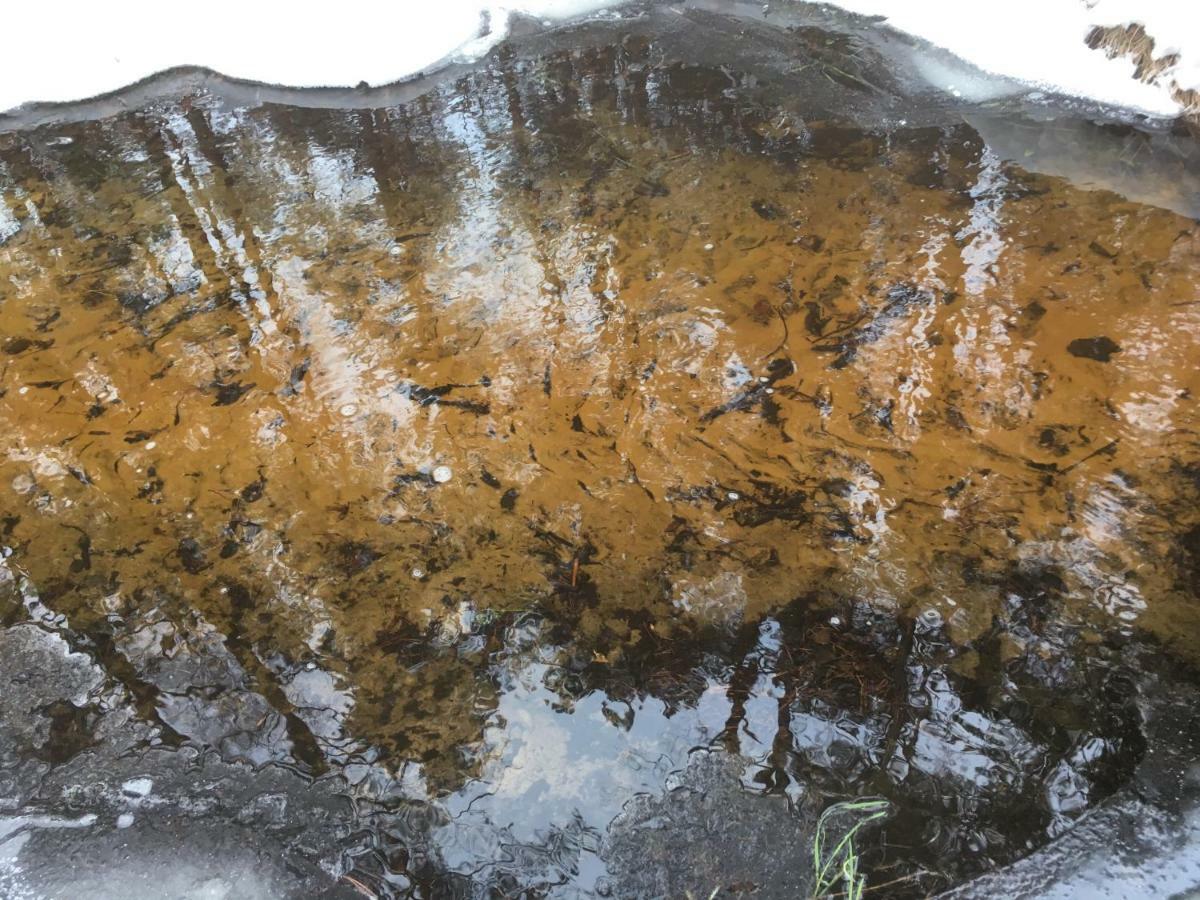 Vila Migla Paseksciai Bagian luar foto